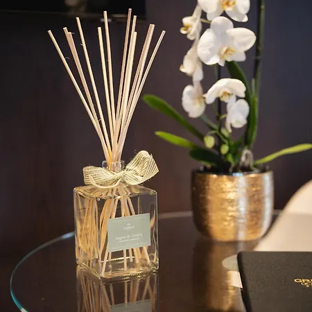 住宿加早餐酒店 Park Penthouse & Pool - Heated Pool - *