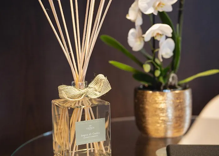 Bed and breakfast Park Penthouse & Pool - Heated Pool - 4*